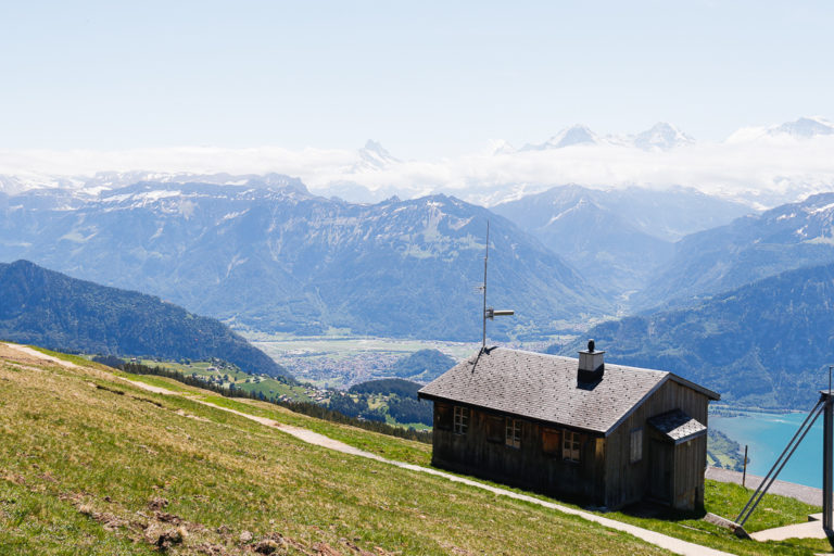 Vista dal Niederhorn sull'Eiger, Mönch e Jungfrau