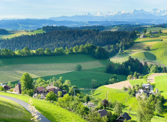 Emmental