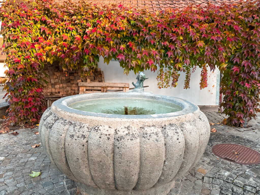 Fontana Foliage Ersigen